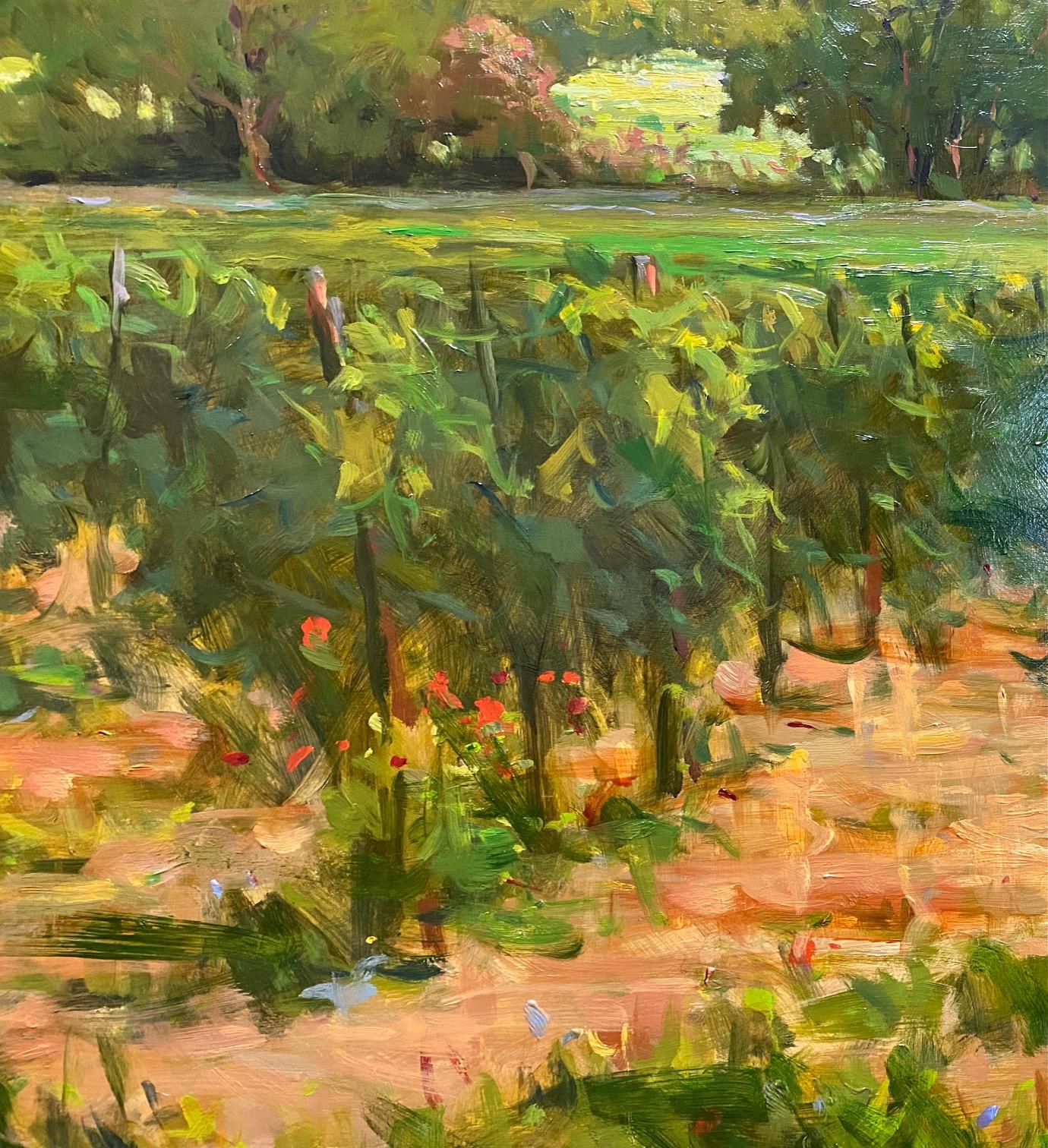 Vaucluse Vineyards, original 36x48, französische impressionistische Weinberglandschaft im Angebot 1