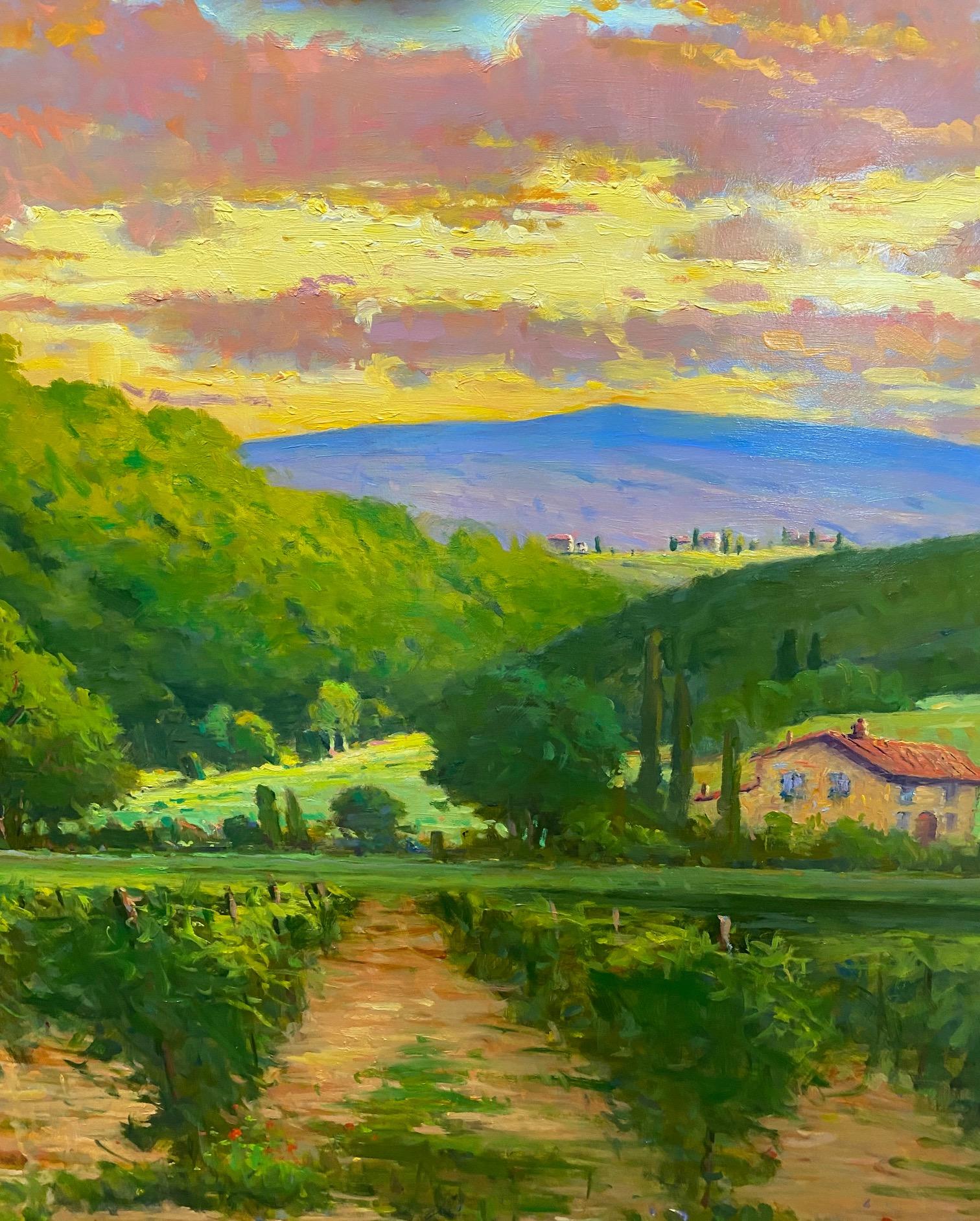 Vaucluse Vineyards, original 36x48 French impressionist vineyard landscape - Impressionist Painting by Jim Rodgers