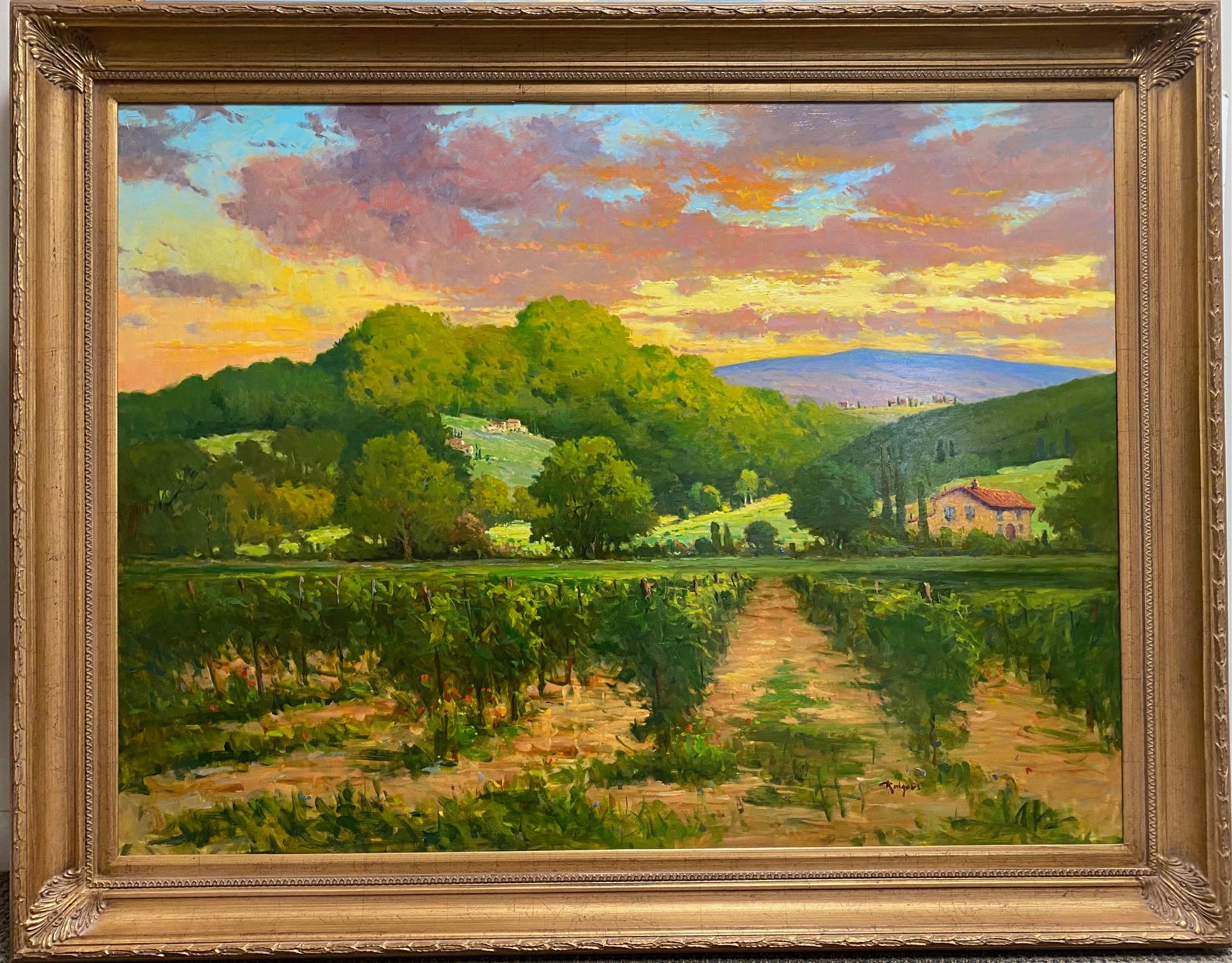 Jim Rodgers Landscape Painting - Vaucluse Vineyards, original 36x48 French impressionist vineyard landscape