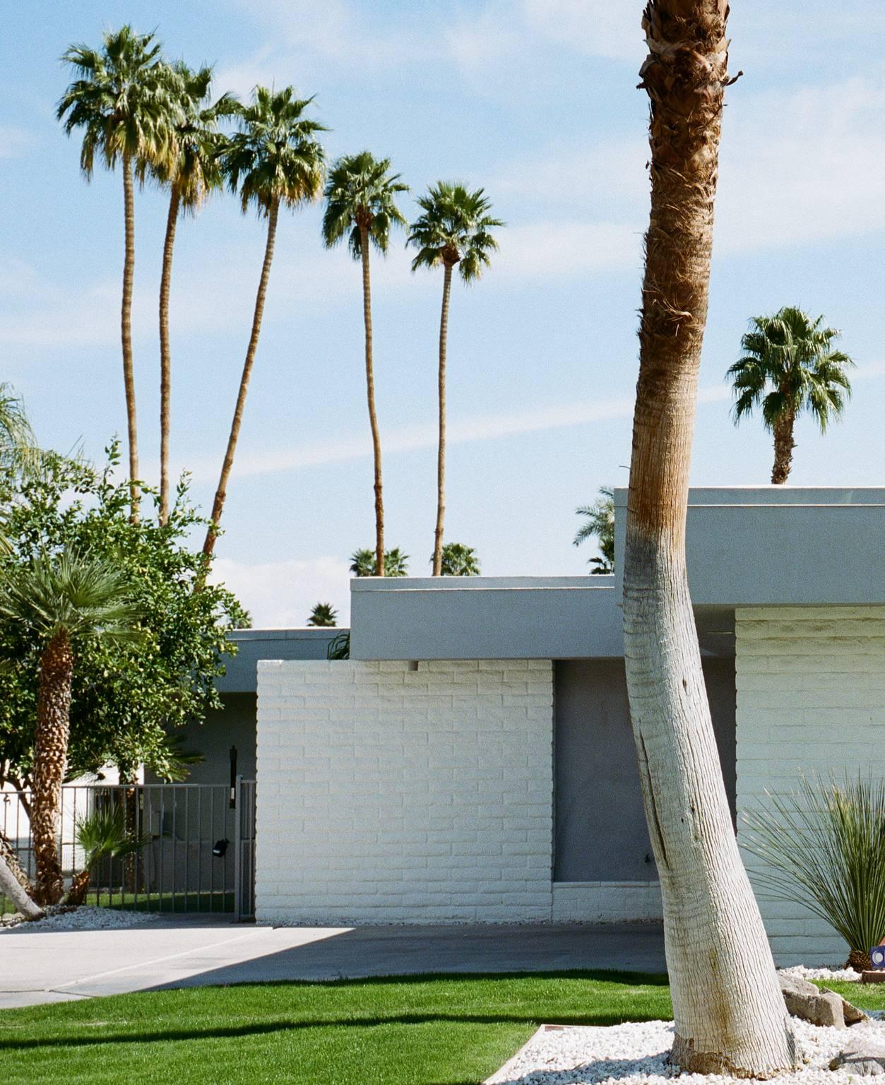 Palms - Blue Color Photograph by Jim Ryce