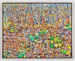 Cedar Sage Wildflower, on Limestone Bluff, above the Guadalupe River