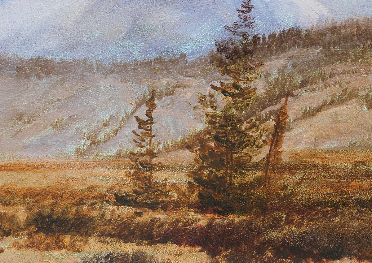 jim wilcox artist