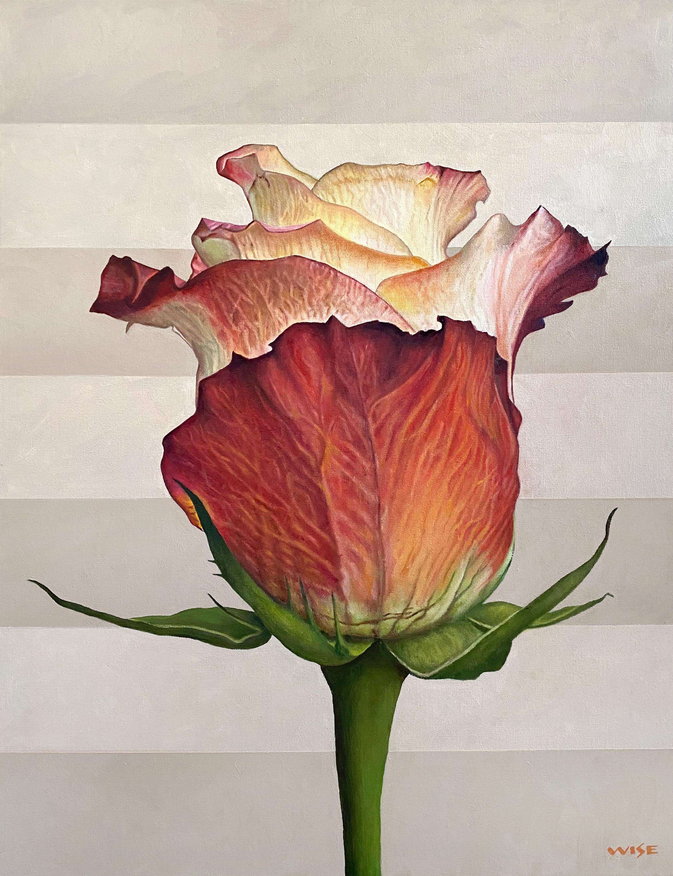 Still-Life Painting Jim Wise - ""Babylon"" - peinture de rose, nature morte, réalisme botanique - Georgia O'Keeffe