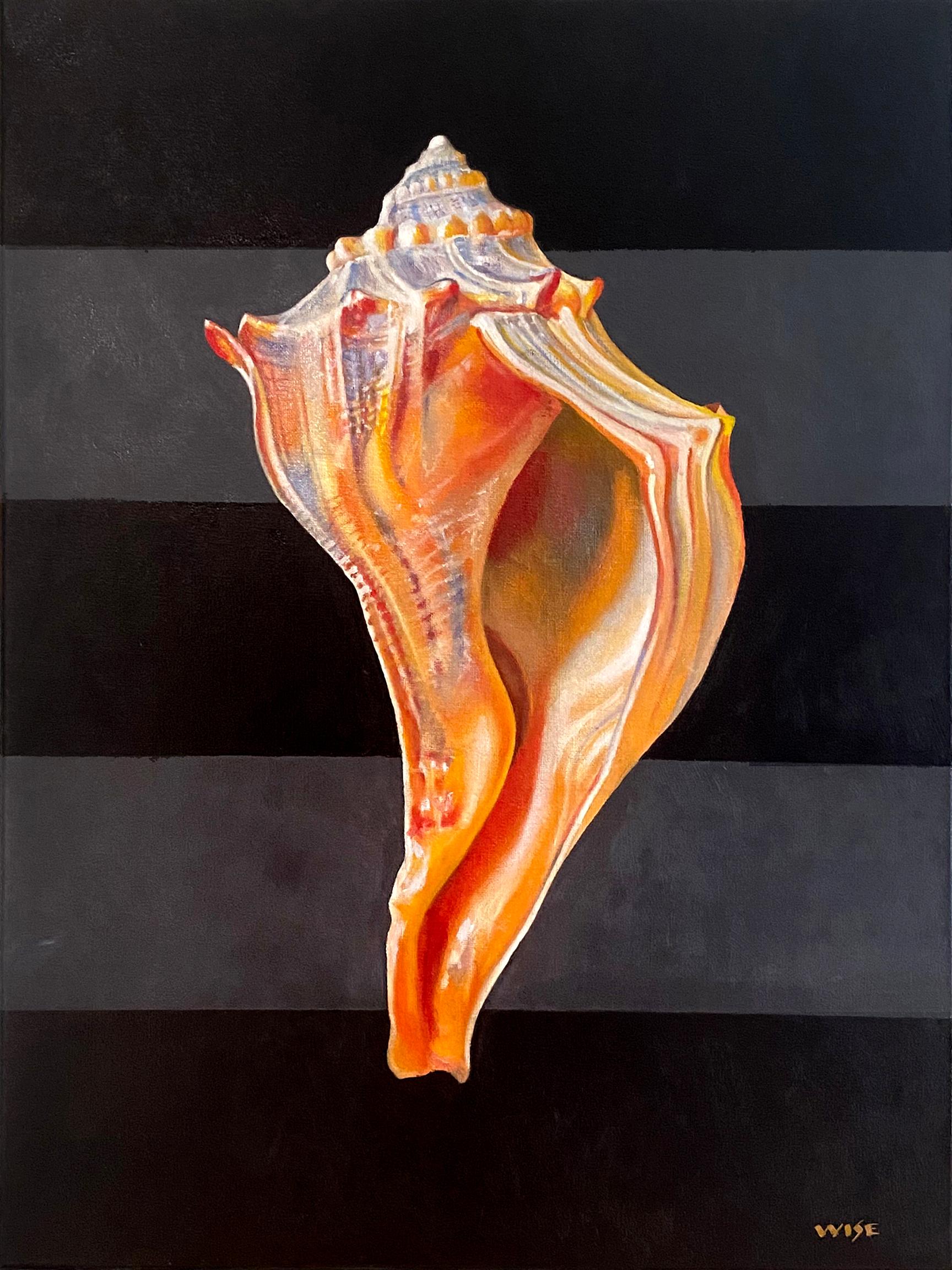 Jim Wise Still-Life Painting - "Welk" - shell painting, still life, realism - Georgia O'Keeffe