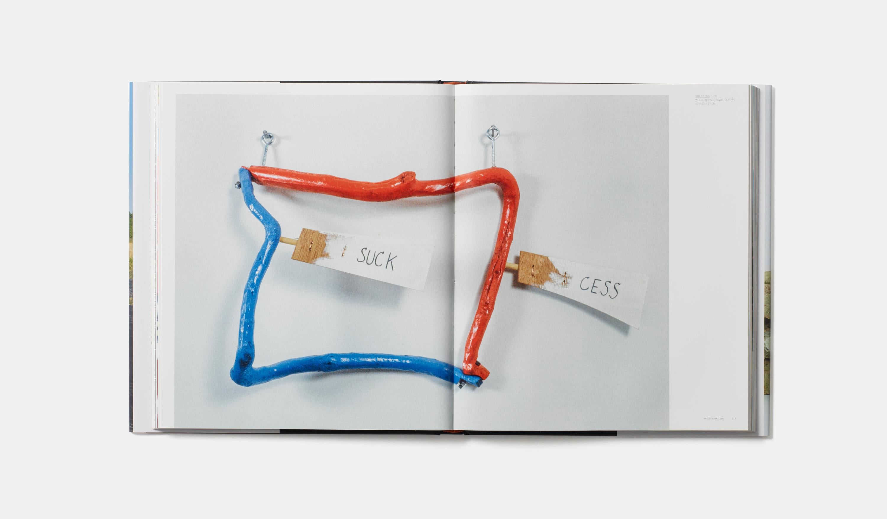 XXIe siècle et contemporain Jimmie Durham (Phaidon Contemporary Artists Series) en vente