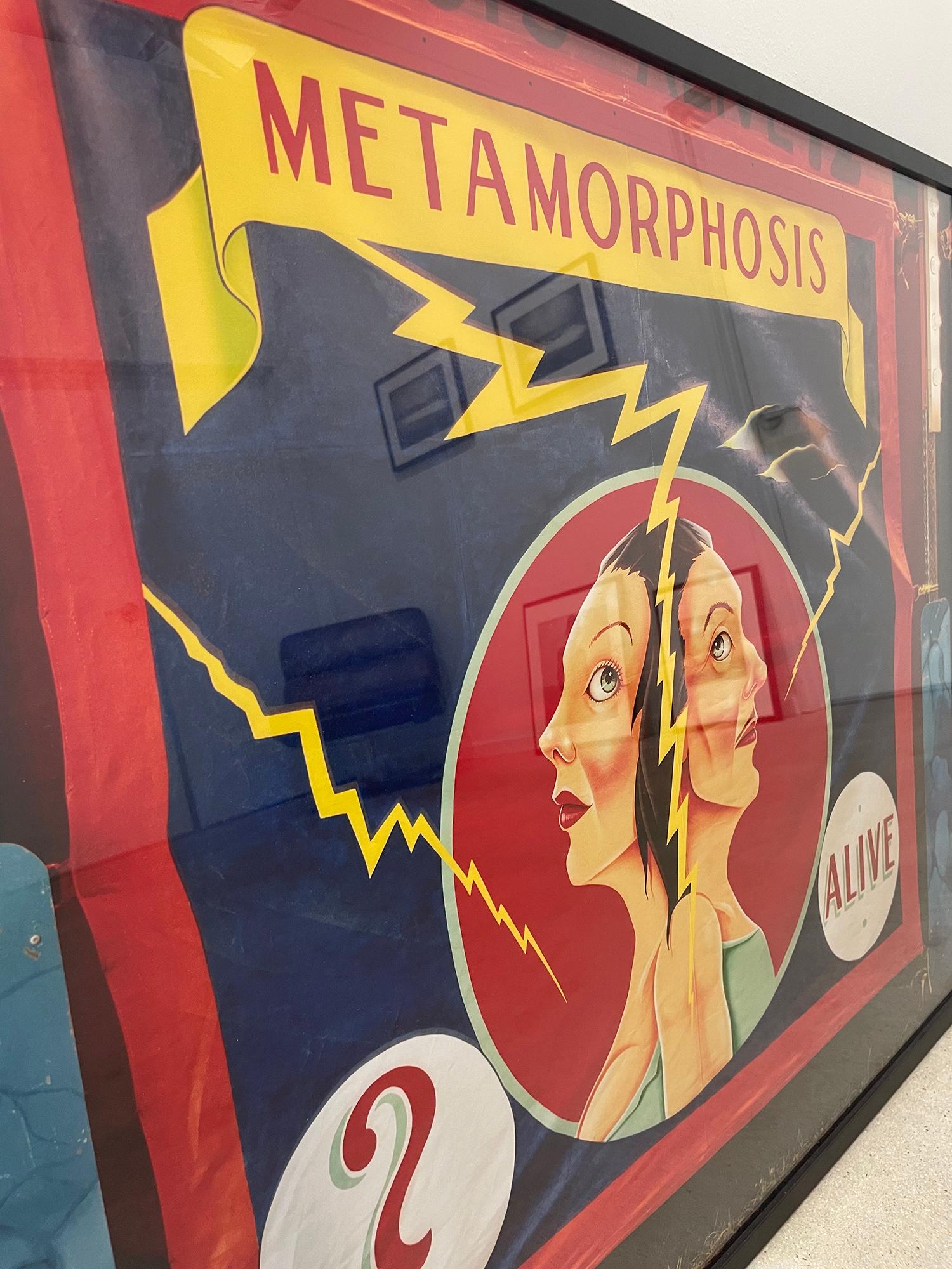 Metamorphosis Banner, Pennsylvania; Aus der Welt der Wunder – Farbfotografie im Angebot 1