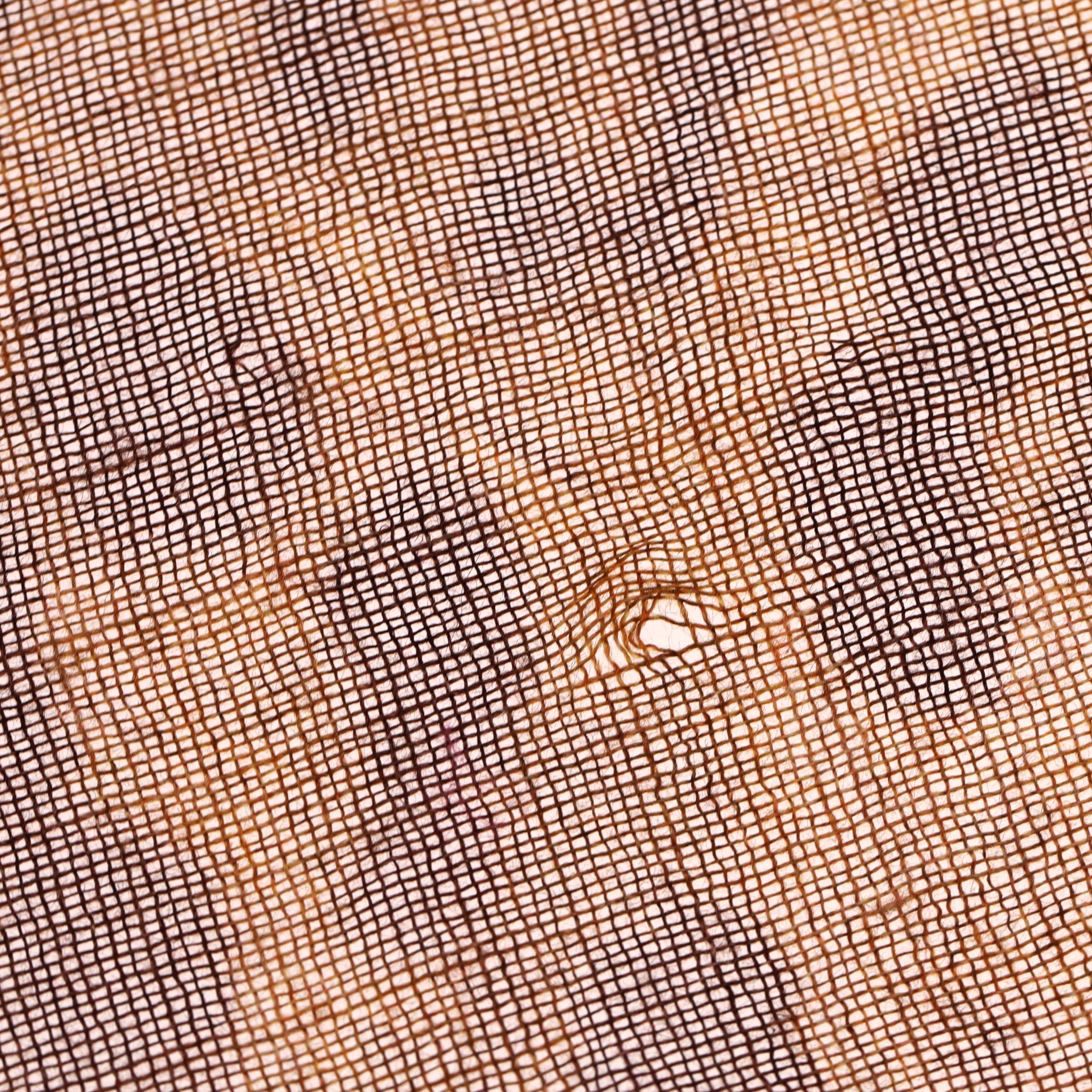 Sciarpa con stampa leopardo in misto seta e cashmere Jimmy Choo in vendita 6