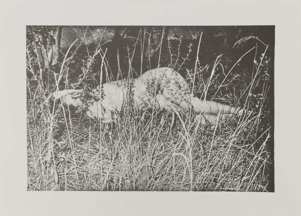 Untitled (Figure in Grass)