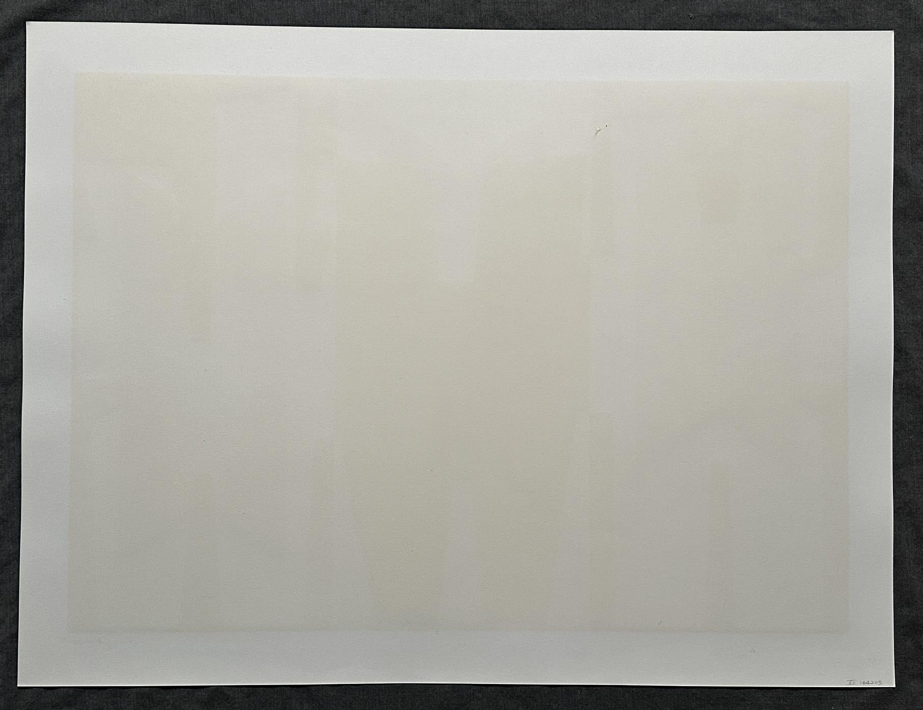 1970 Signed Limited Edition Large Screen Print VI For Sale 2