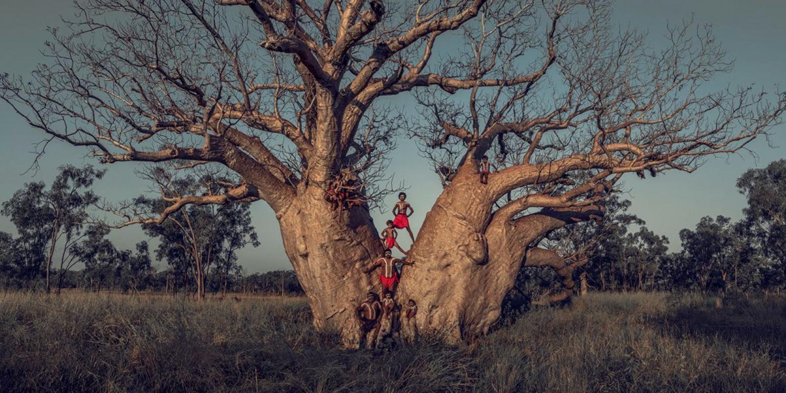 XLI 19 Familia Nulgit, Mowanjum  Árbol boab, Derby, The Kimberley  Australia 2018

Una parte de la comunidad bardi (o baada) vive principalmente al norte de la ciudad de Broome, en el punto más alto de la península de Dampier. 

Viven en armonía con