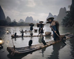 XXII 467 // XXII China Comorants
