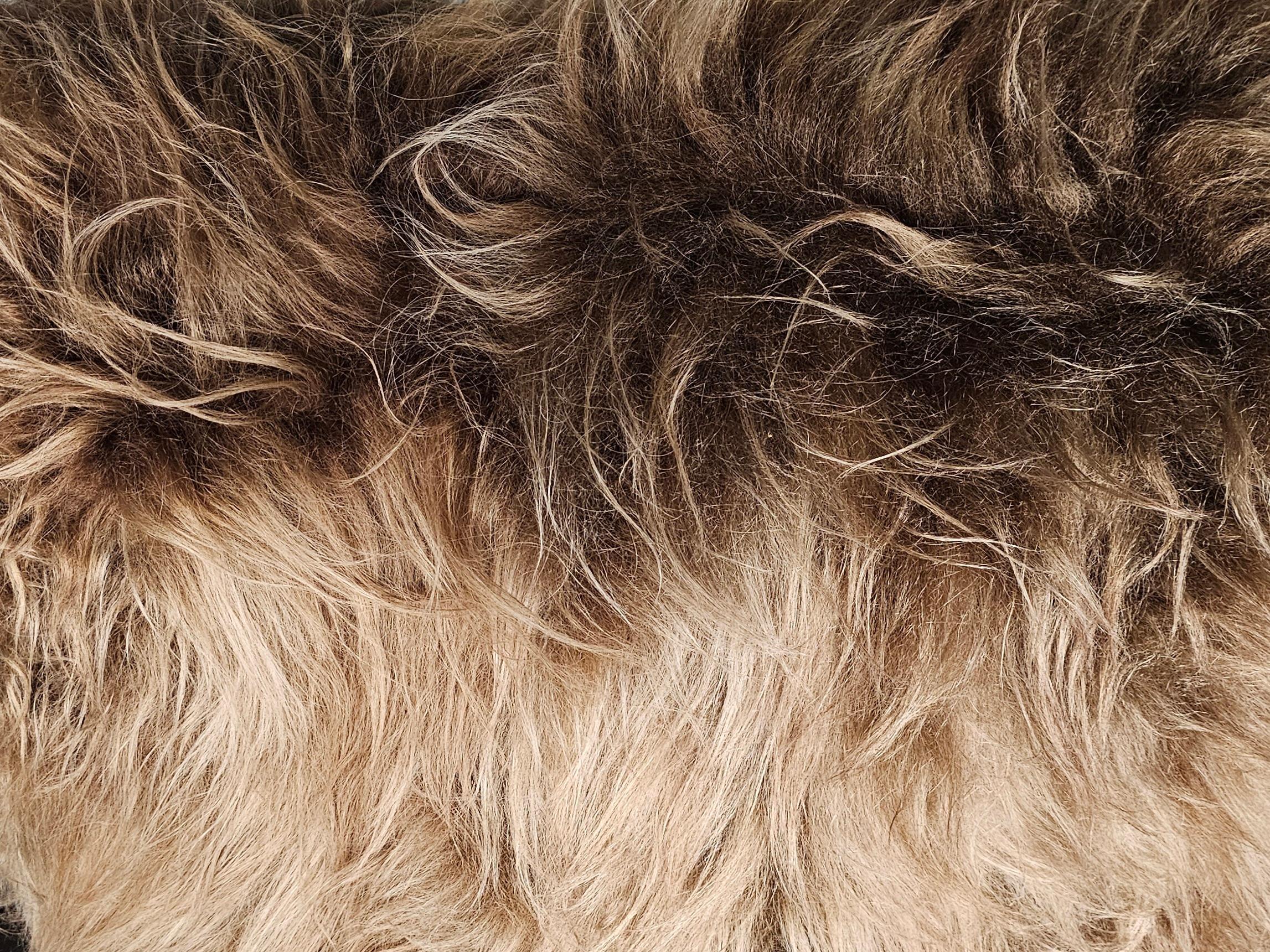 Jindrich Halabala Lounge Chairs in mixed brown Mongolian Sheepskin, 1930s 5