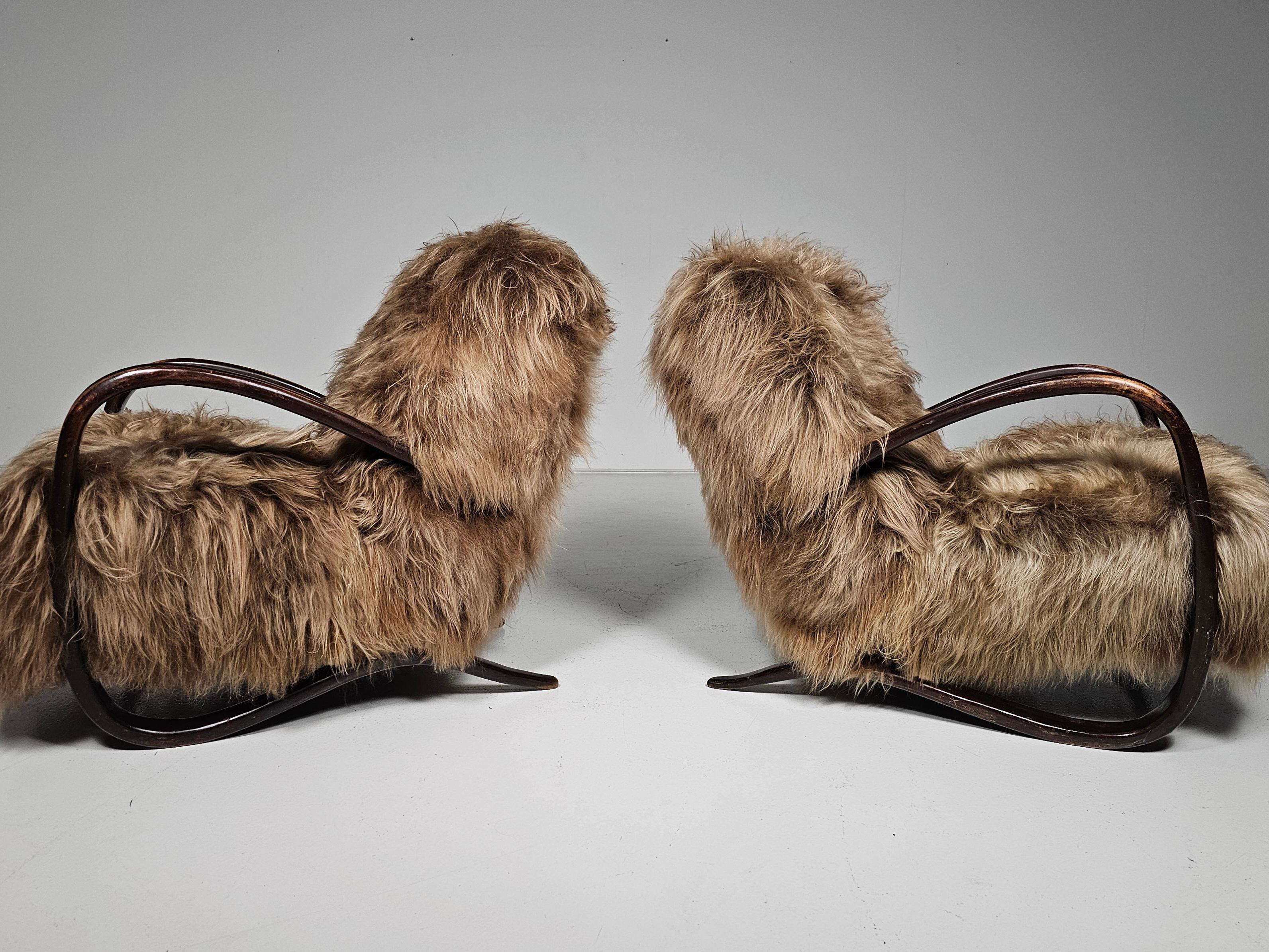 Jindrich Halabala, lounge chairs. model 'H269', dark stained beech, Reupholstered in long hair mongolian sheepskin in a mixed brown color. Czech Republic, 1930s.

This chairs have  a very organic and abundant appearance and the fuzzy upholstery