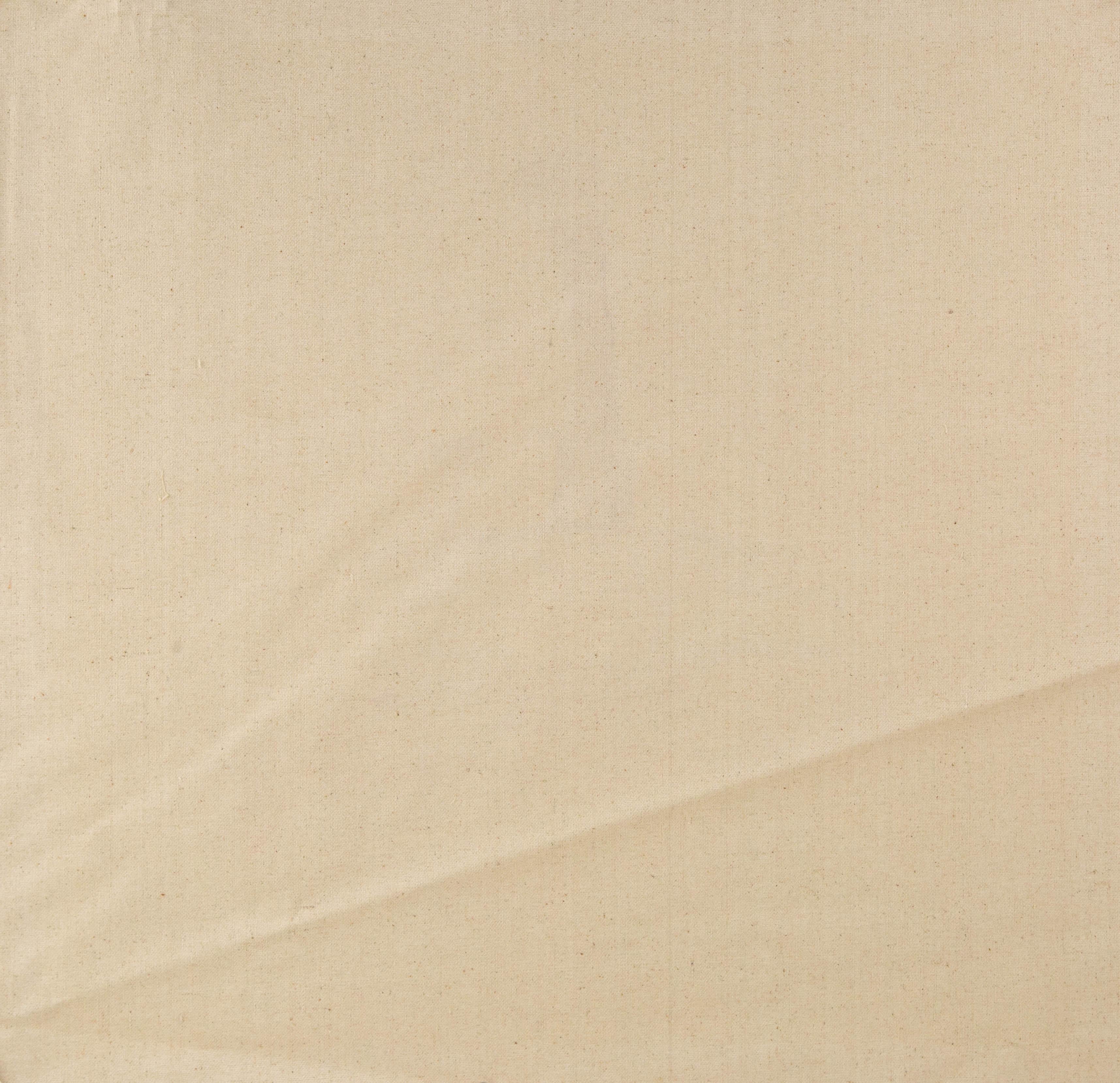 Jingyu Wang Still Life Original Acrylic On Canvas 