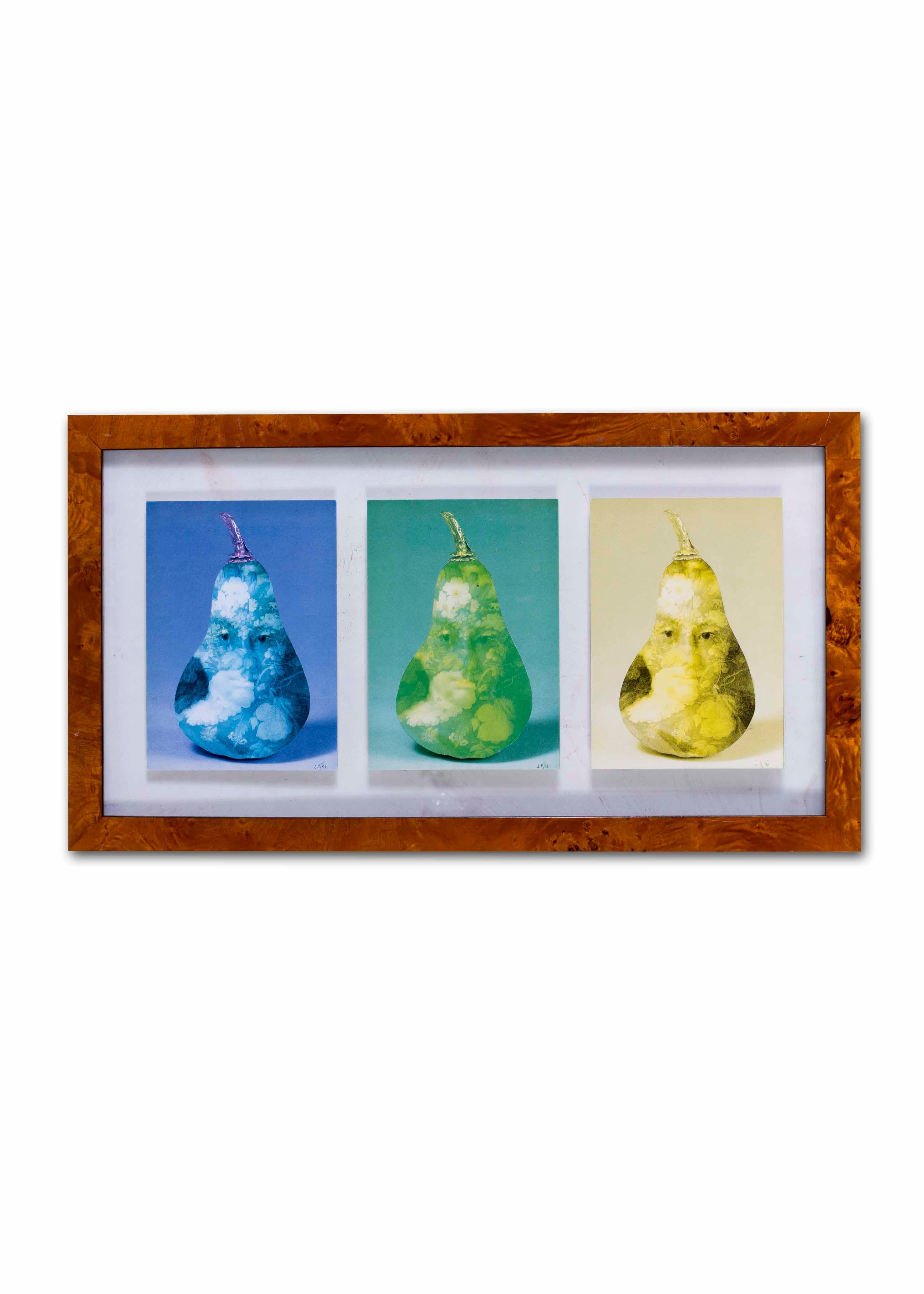 20th Czech Surrealist collage triptych of pears by Jiri Kolar For Sale 5