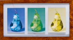 20th Czech Surrealist collage triptych of pears by Jiri Kolar