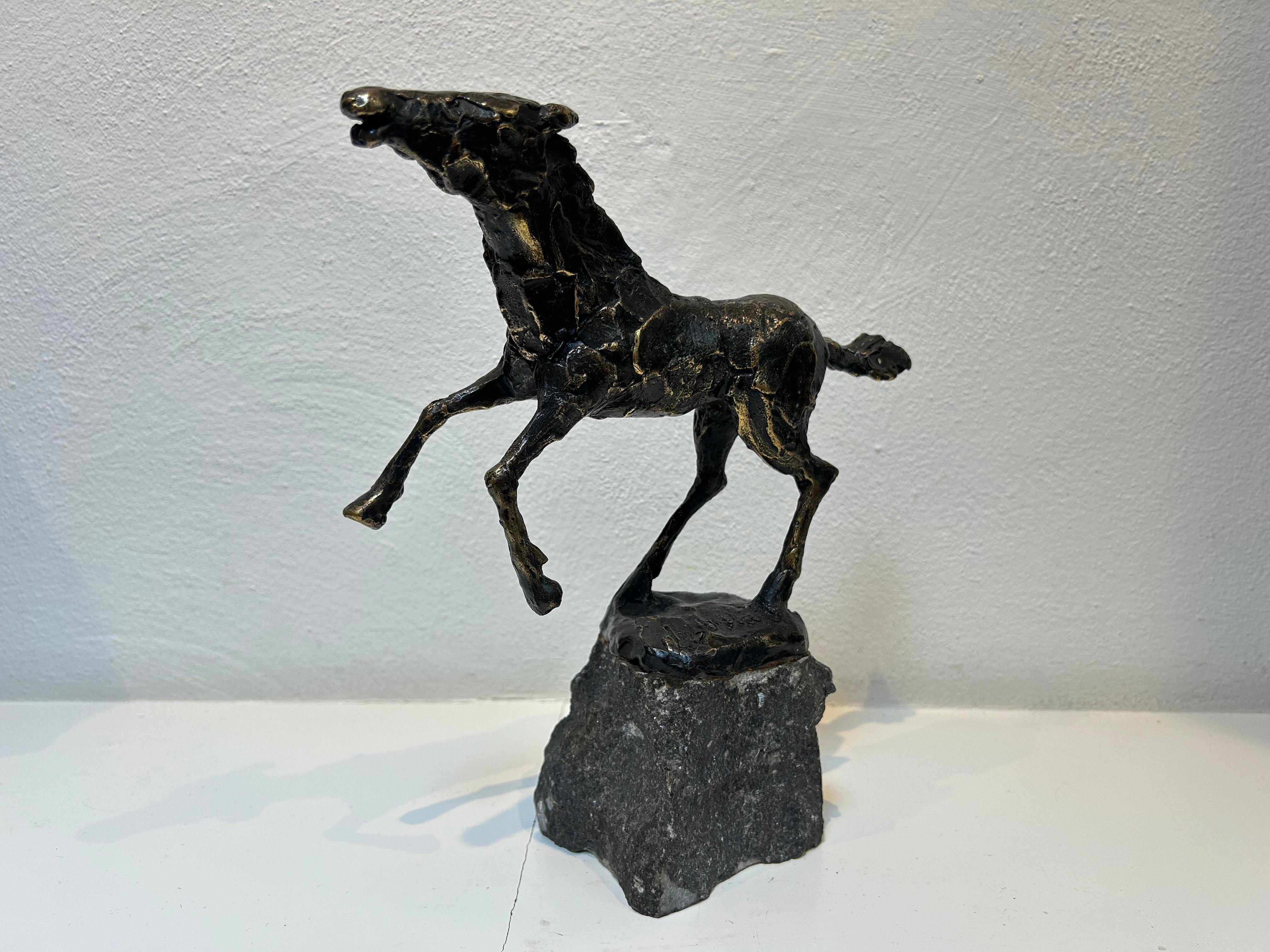 Paard al galoppo Cavallo al galoppo Scultura animale in bronzo Figurativa Nuovo In magazzino - Sculpture di Jits Bakker