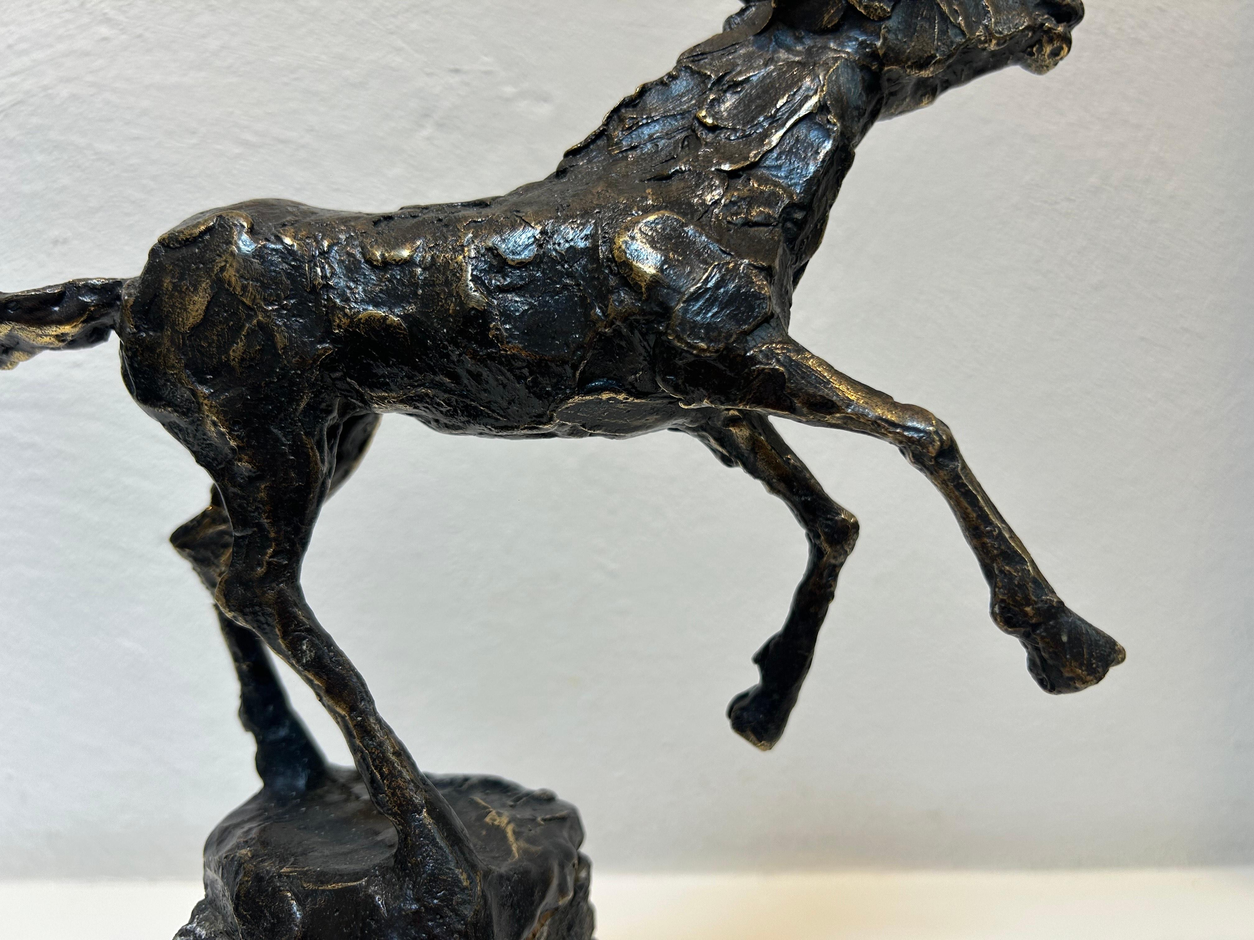 Paard al galoppo Cavallo al galoppo Scultura animale in bronzo Figurativa Nuovo In magazzino - Sculpture Contemporaneo di Jits Bakker