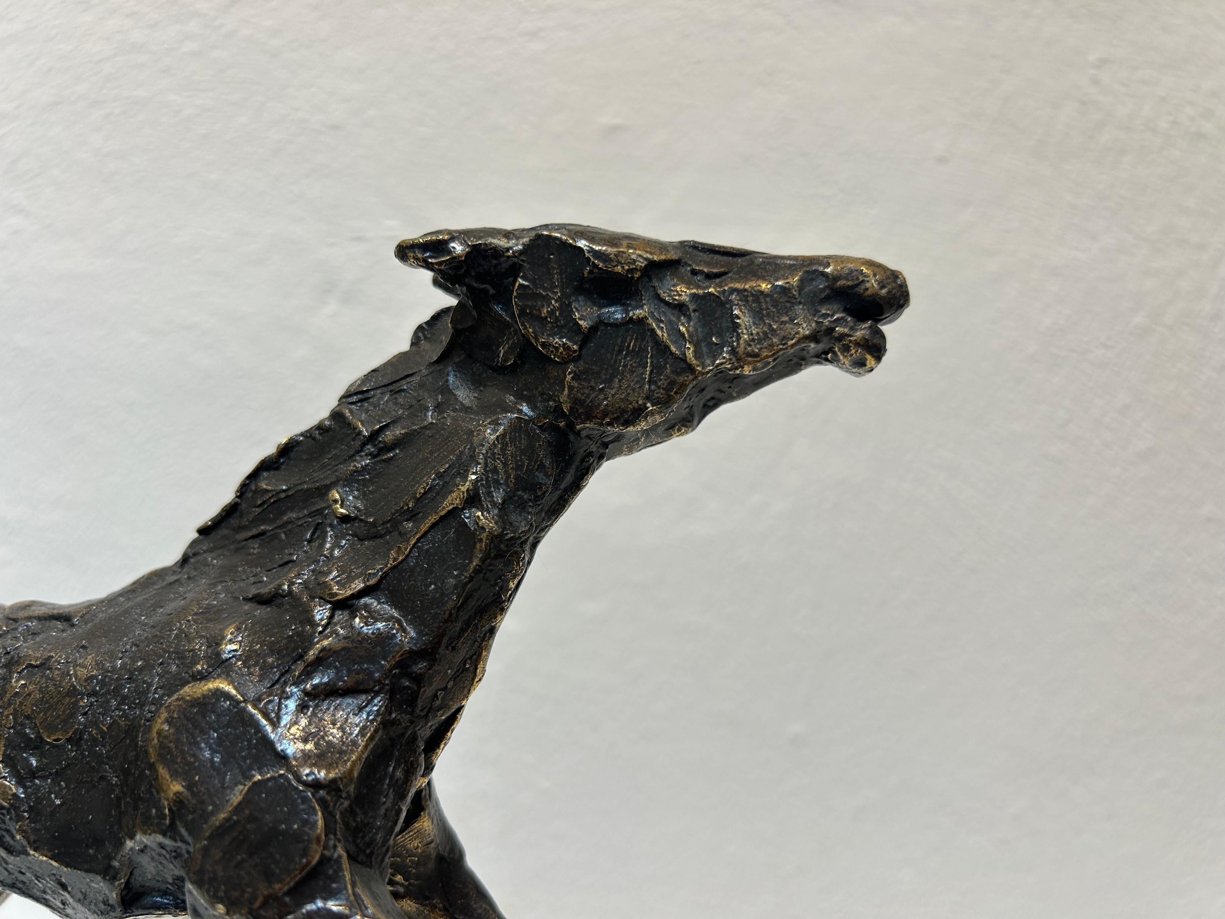 Paard al galoppo Cavallo al galoppo Scultura animale in bronzo Figurativa Nuovo In magazzino - Figurative Sculpture Oro di Jits Bakker