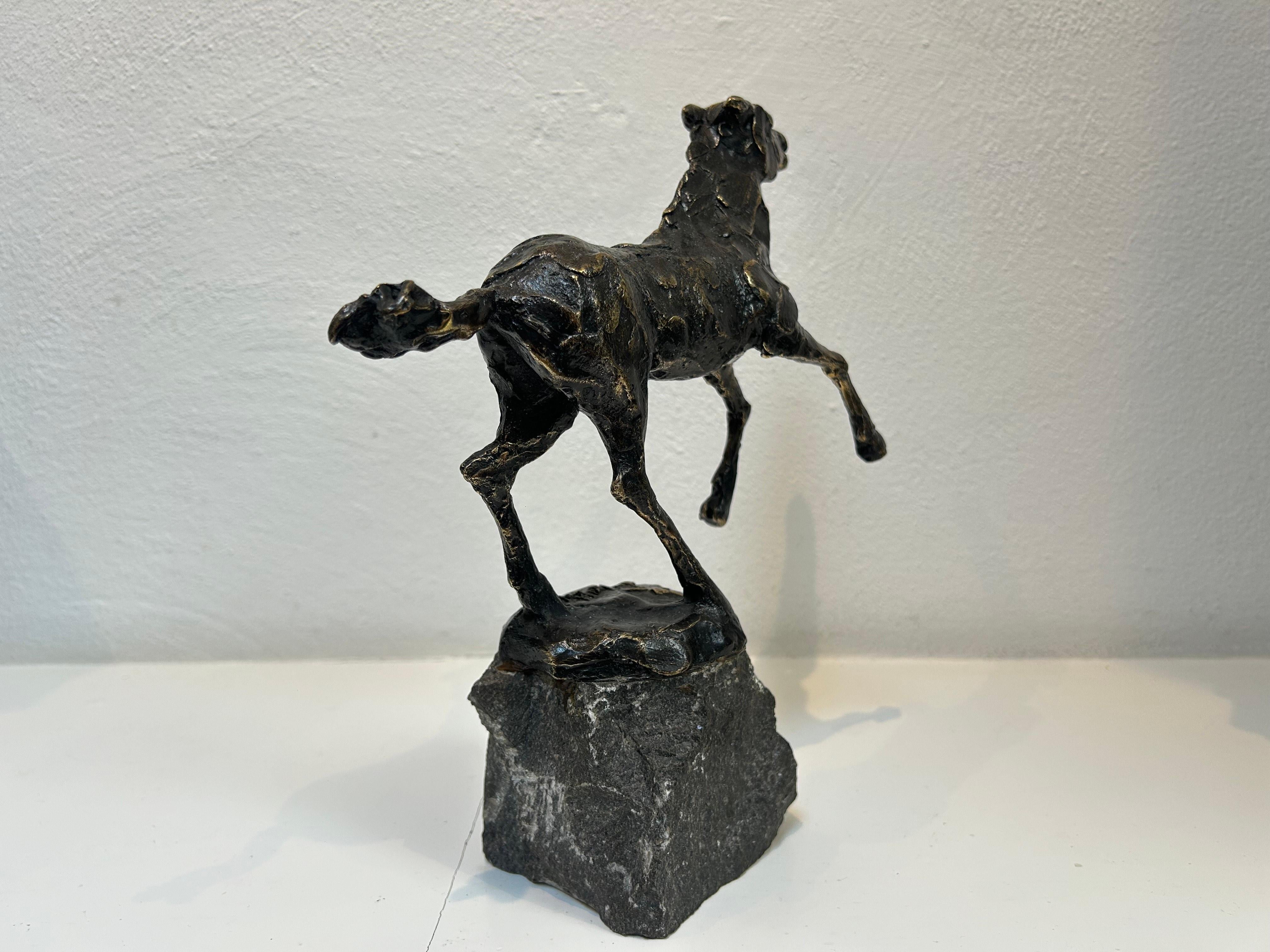 Paard al galoppo Cavallo al galoppo Scultura animale in bronzo Figurativa Nuovo In magazzino in vendita 3