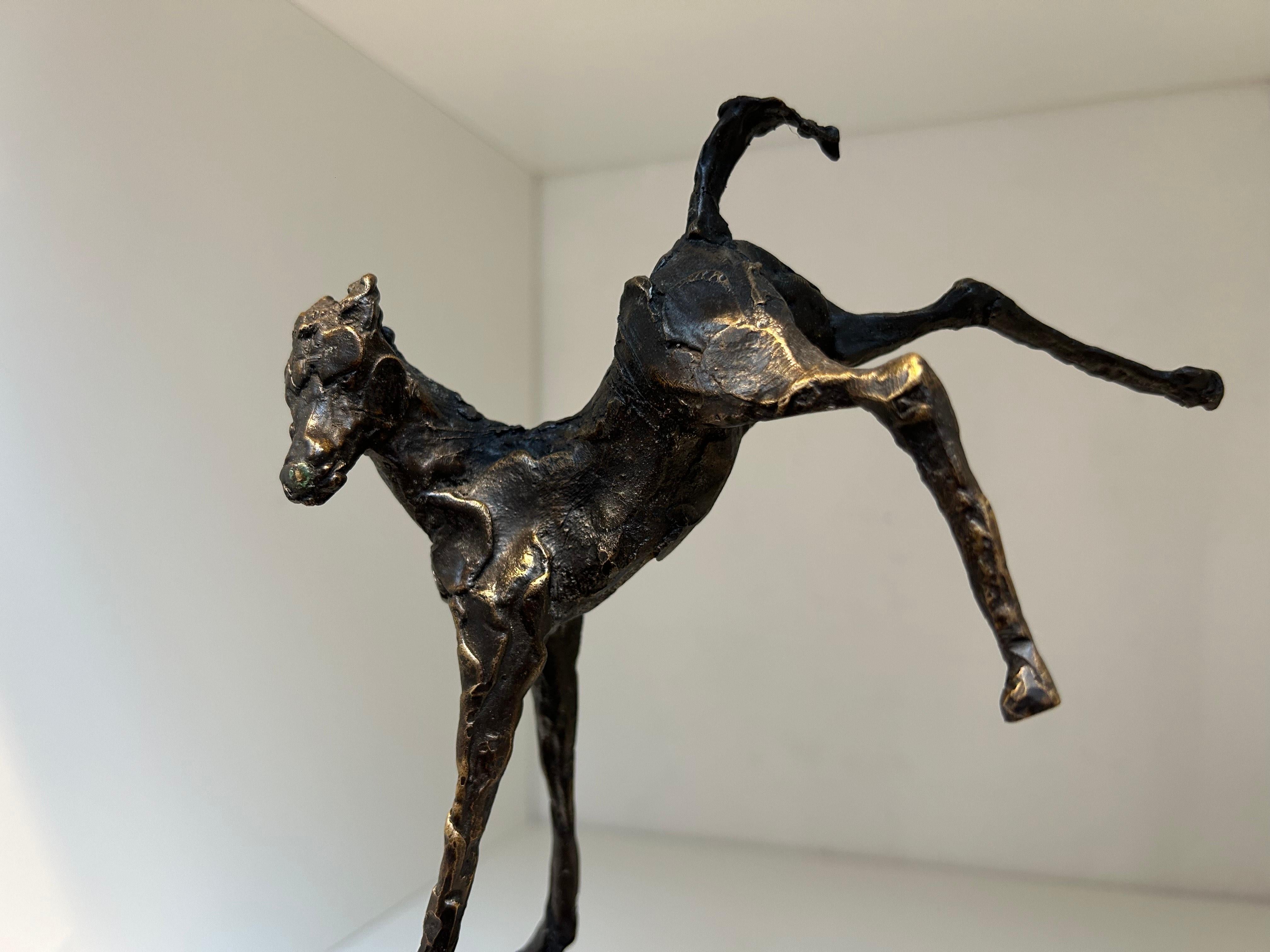 Veulen Pony Cavallo Scultura in bronzo Animale Contemporaneo Nuovo In Stock - Sculpture di Jits Bakker