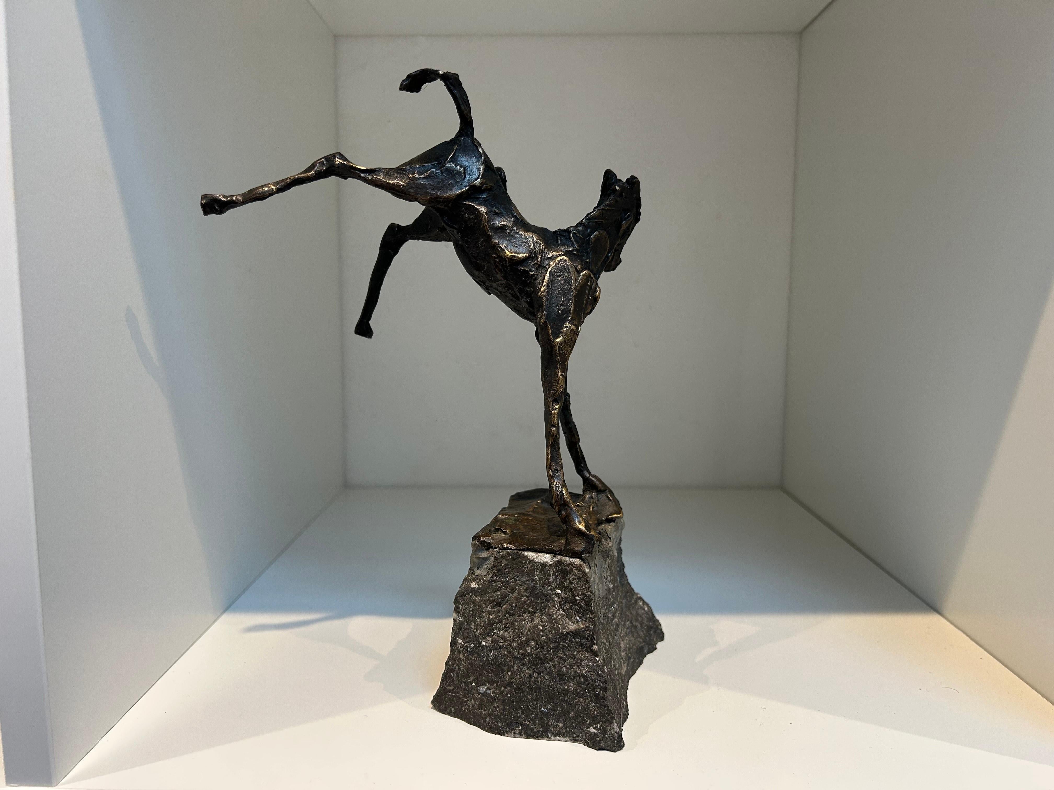 Veulen Pony Cavallo Scultura in bronzo Animale Contemporaneo Nuovo In Stock

Informazioni su Jits Bakker (1937-2014)
Jits Bakker era un artista olandese versatile: scultore, pittore, acquerellista, disegnatore, artista del vetro, argentiere e