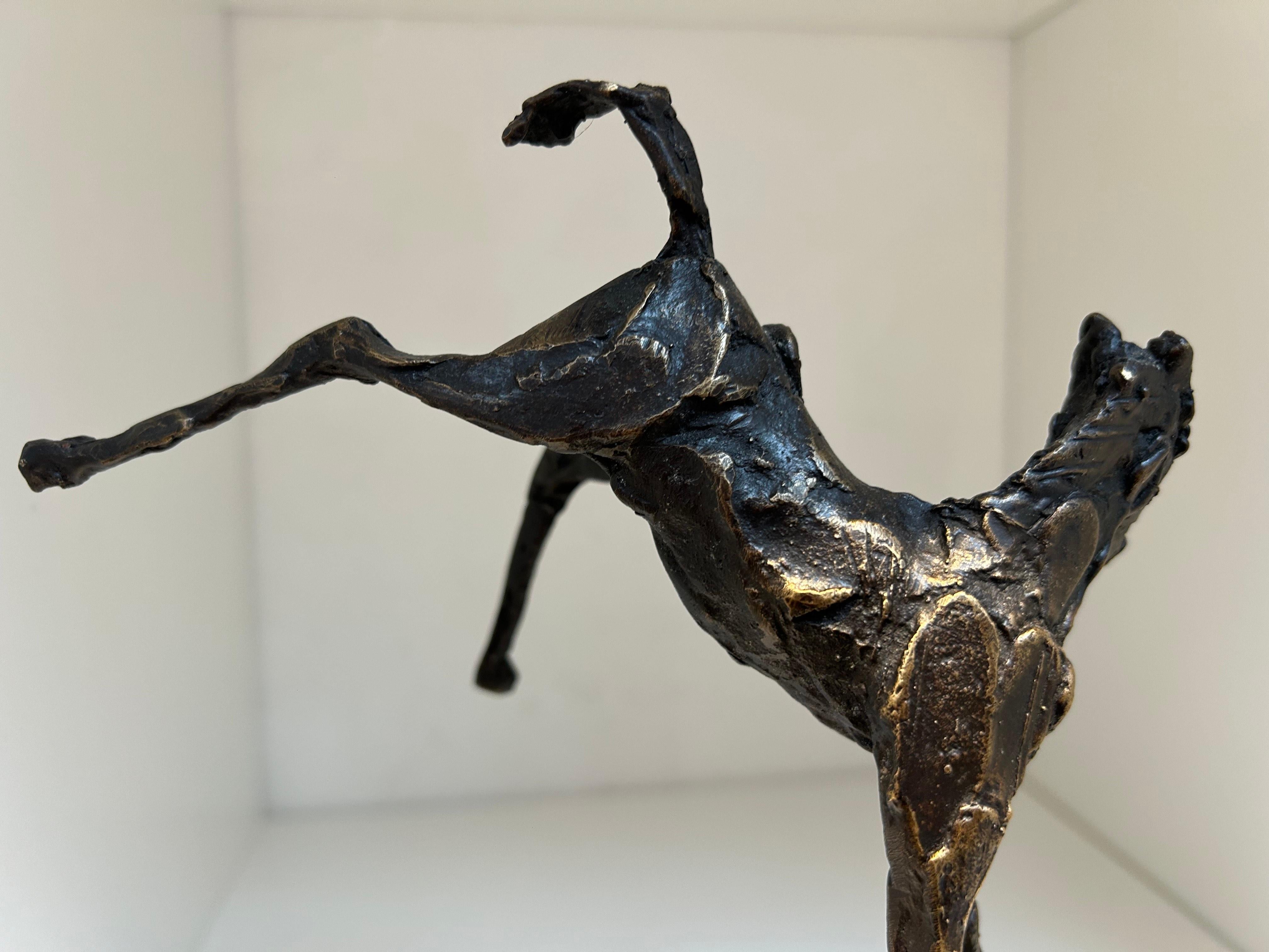 Veulen Pony Cavallo Scultura in bronzo Animale Contemporaneo Nuovo In Stock in vendita 1