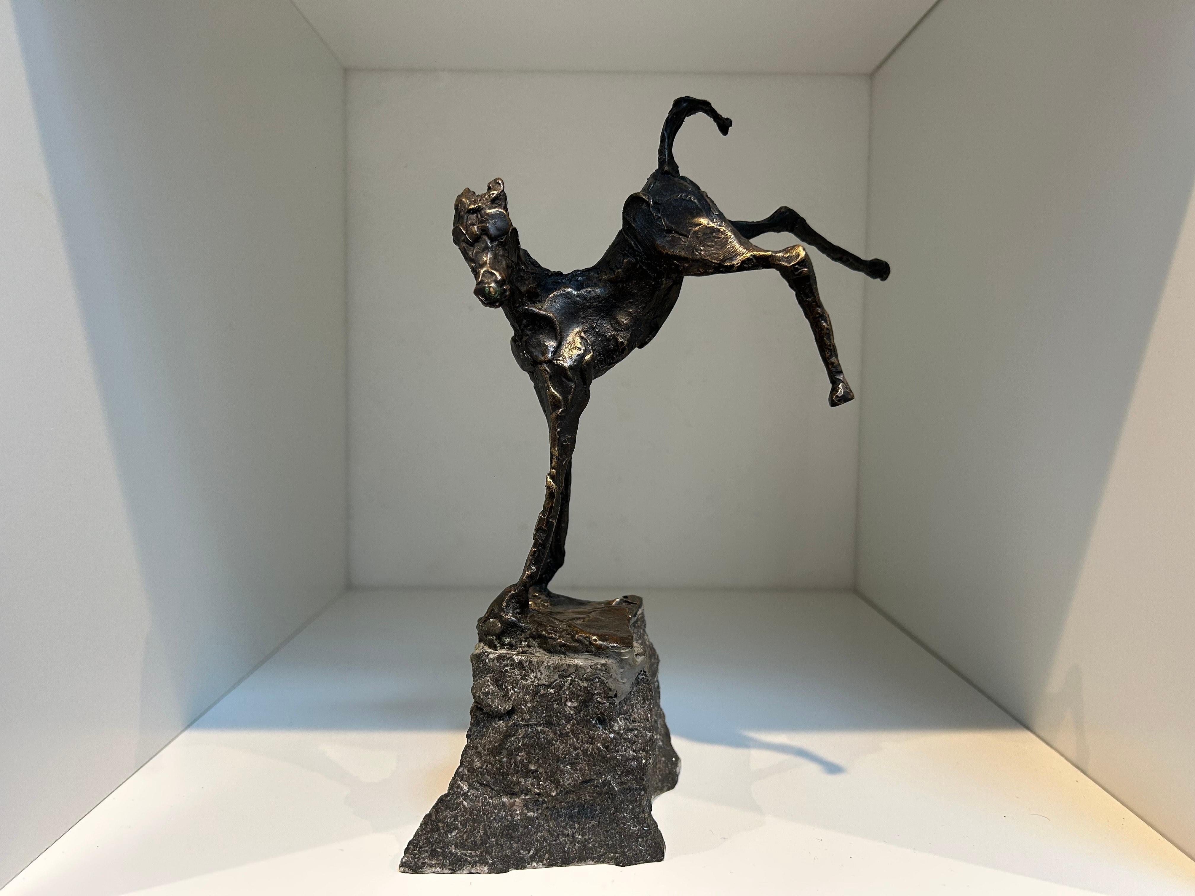 Veulen Pony Horse Bronze Sculpture Contemporary Animal New In Stock