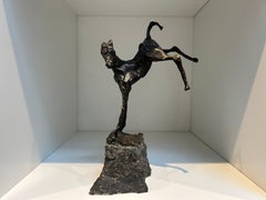 Veulen Pony Horse Bronze Sculpture Contemporary Animal New In Stock