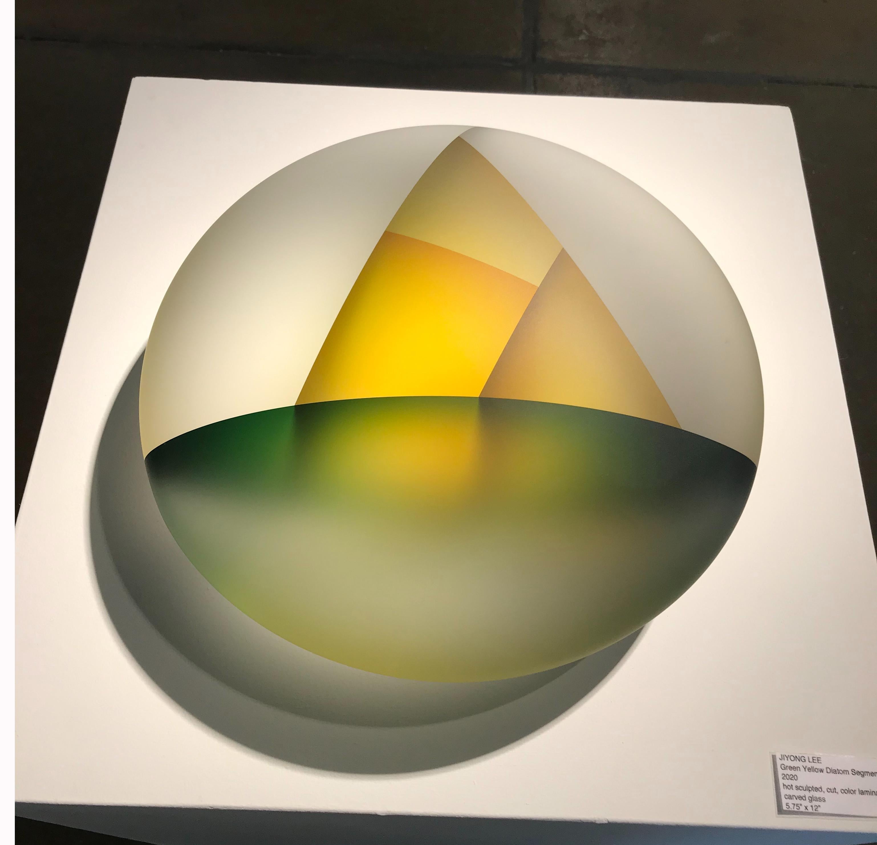 Lee was born and raised in South Korea. He is a studio artist and an associate professor of art and head of the Glass program at Southern Illinois University Carbondale. He has won a number of honors, including the Bavarian State Prize from