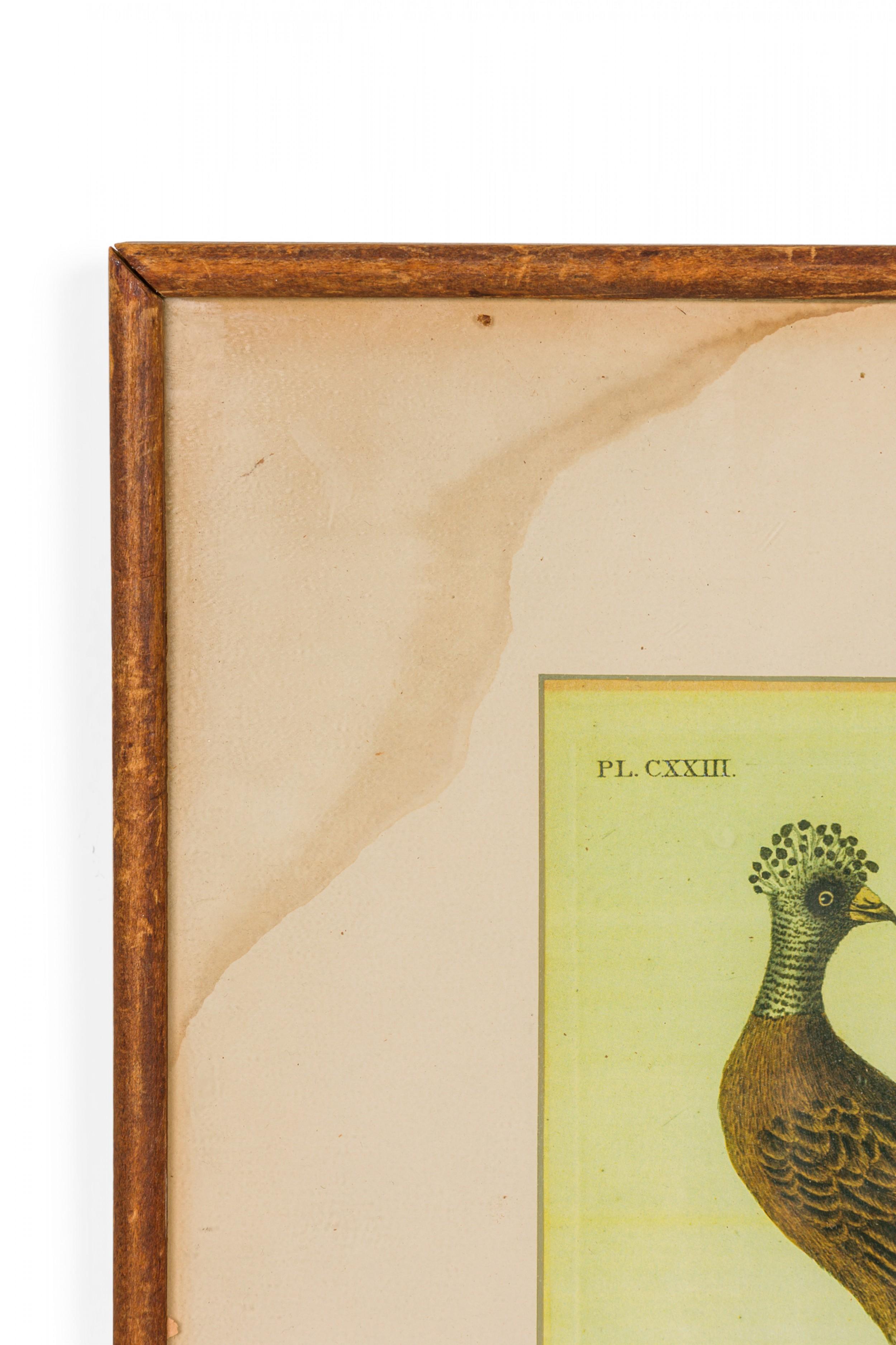 J.J. Audubon Haubenhuhn Farbdruck im Zustand „Gut“ im Angebot in Queens, NY