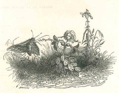 Lady Rose and Fly - Original Lithograph by J.J. Grandville - 1852