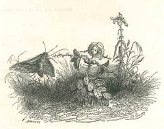 Lady Rose and Fly - Lithographie originale de J.J. Grandville - 1852