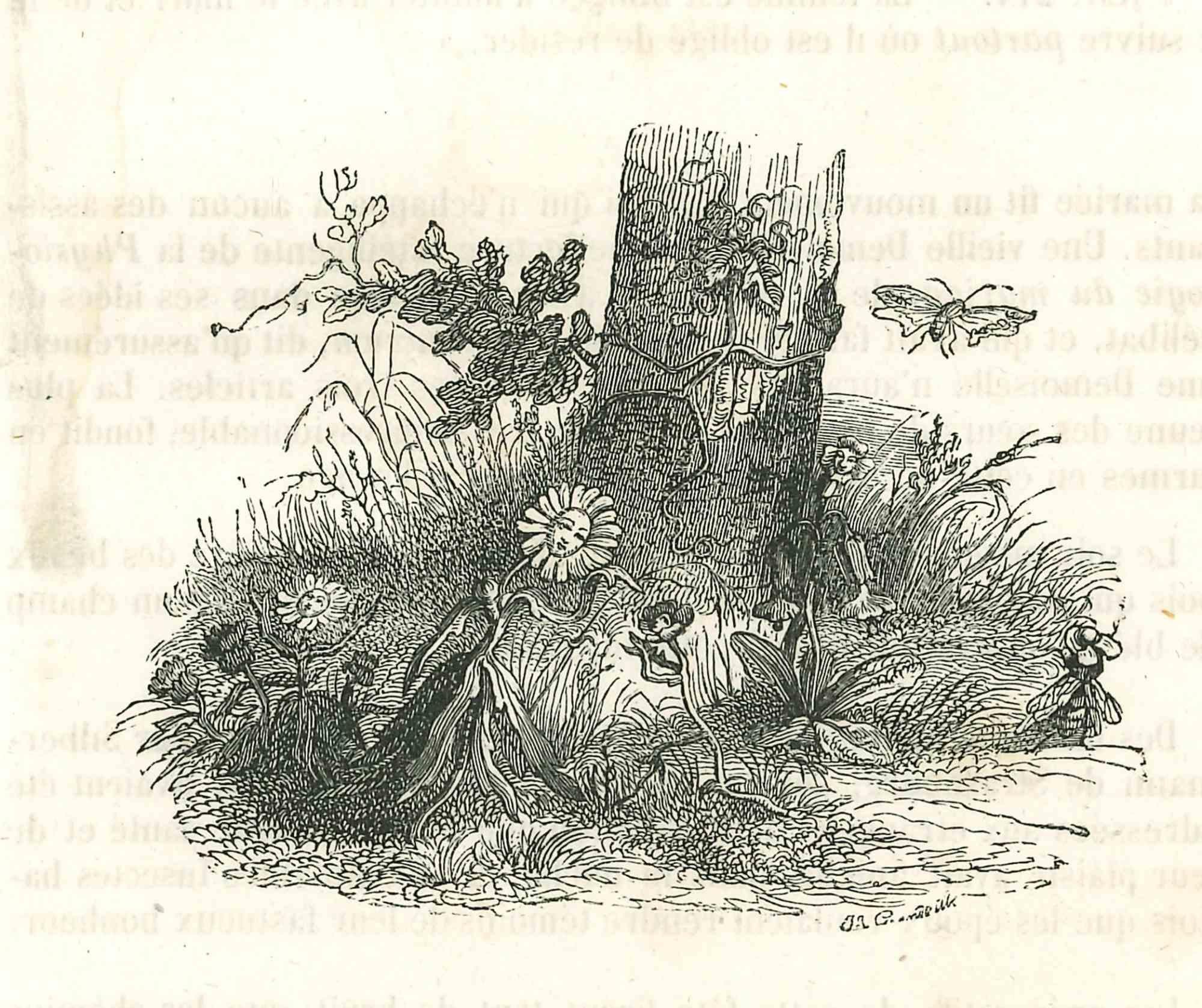 Speaking of Ladies Roses est une lithographie originale sur papier couleur ivoire réalisée par J.J. Grandville, extrait de Scènes de la vie privée et publique des animaux, 1852. Publié par Manesq & Harvard, Paris. 

Signé sur la plaque.

Bonnes
