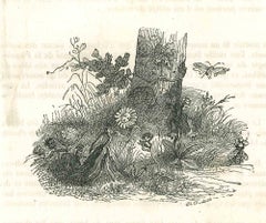 Speaking  of Ladies Roses - Original Lithograph by J.J. Grandville - 1852