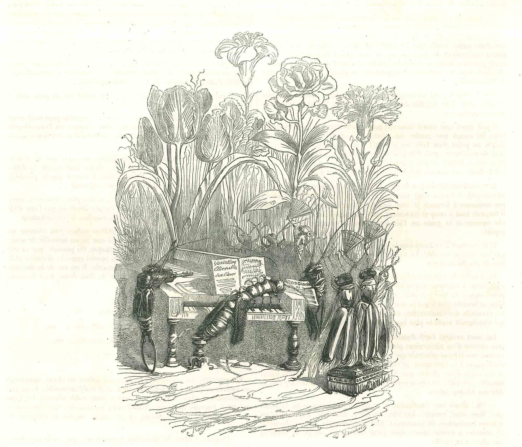 Le Concert d'Insectes entre les Roses est une lithographie originale sur papier couleur ivoire réalisée par J.J. Grandville, extrait de Scènes de la vie privée et publique des animaux, 1852. Publié par Manesq & Harvard, Paris. 

Signé sur la