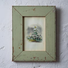 J.J. Grandville’s Les Fleurs Animees Print