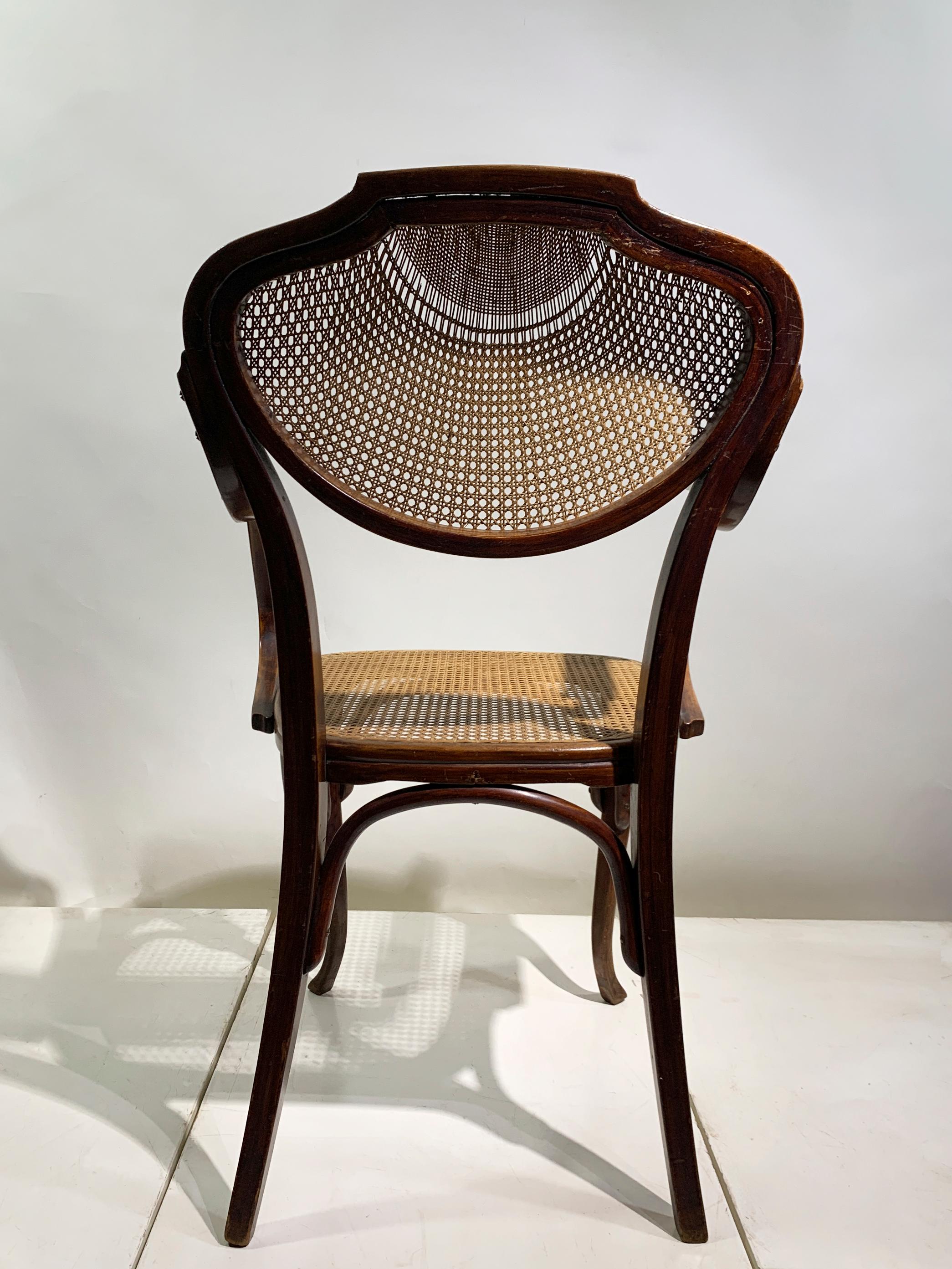 J&J Kohn Bentwood Armchair with Rattan Seat and Back, Austria , circa 1900 For Sale 3