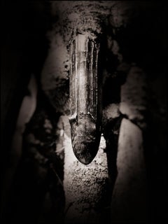 Adam + Eva von JJK, Fotografie, limitierte Auflage, Coco de Mer, Seychellen