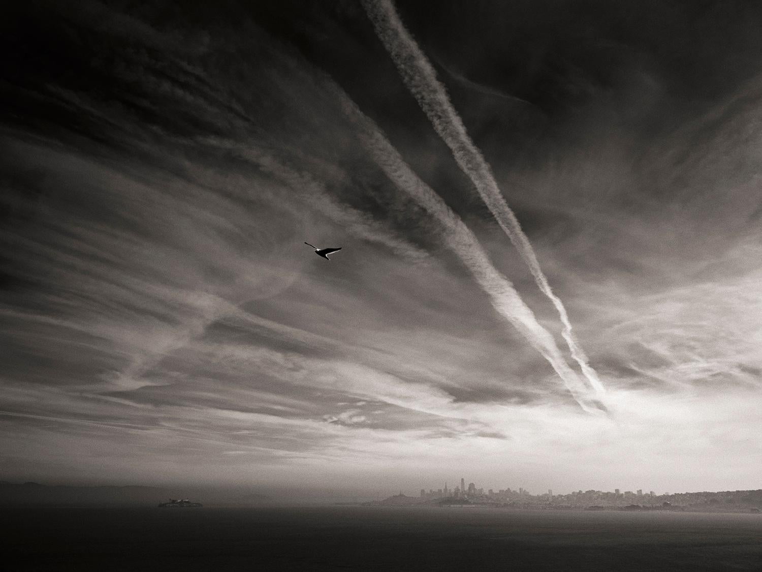 Landscape Photograph di JJK - Gabbiano di Alcatraz, Fotografia, Edizione limitata, Skyline, San Francisco