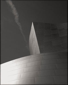Disney Concert Hall II, Photography, Limited Edition, Architecture, Los Angeles