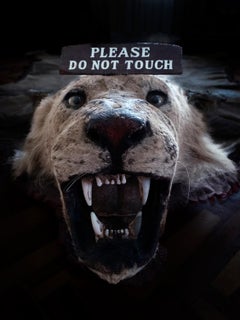 Do not touch, Fotografie, limitierte Auflage, Tier, Kenia