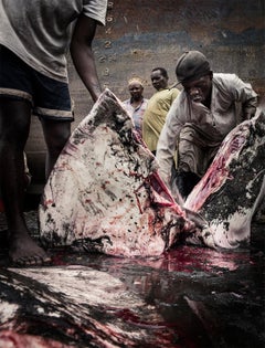 Trabajo con peces Fotografía de Zanzíbar, Edición Limitada, África, gente, animal, comida