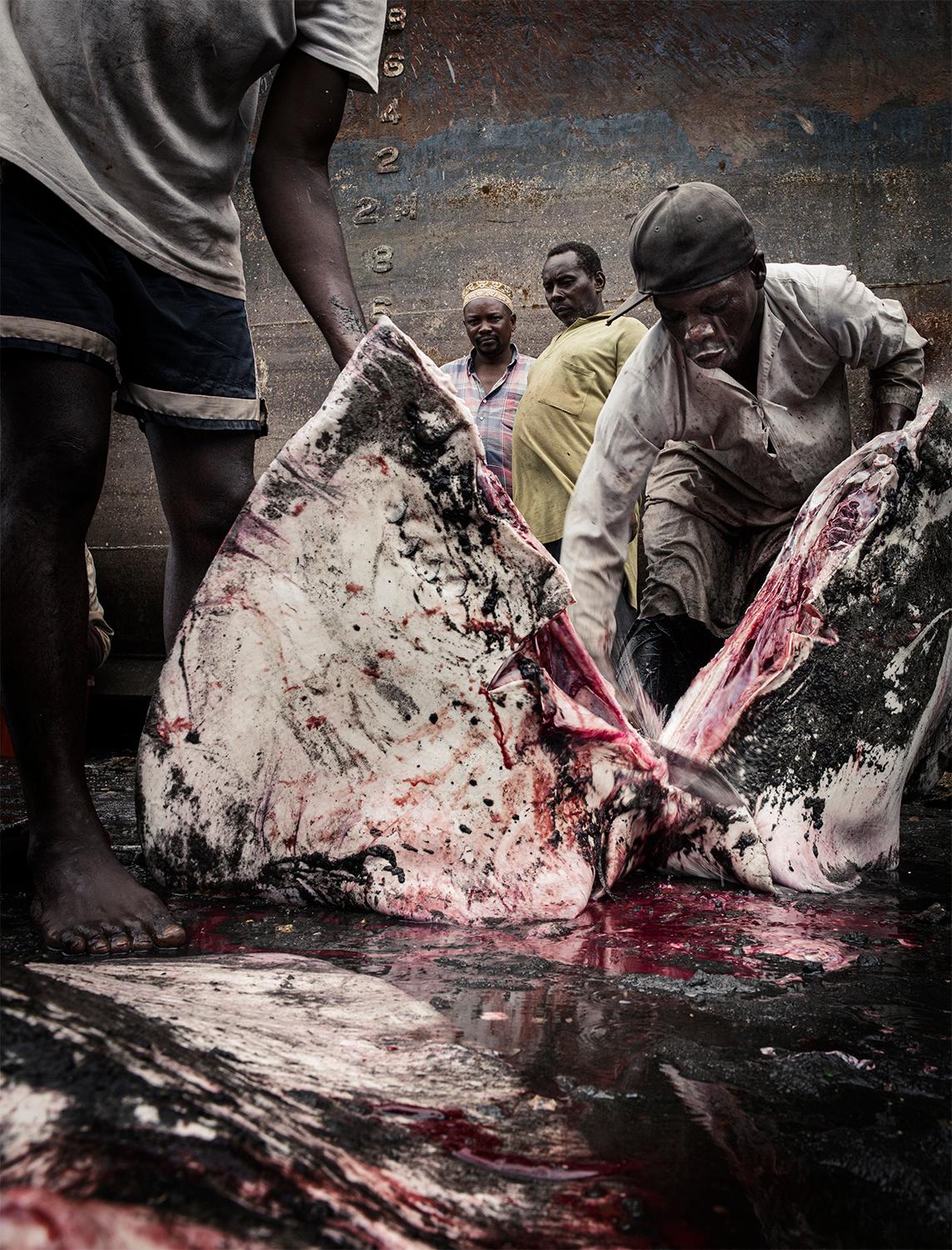 JJK Color Photograph - Fish work Zanzibar Photography, Limited Edition, Africa, people, animal, food