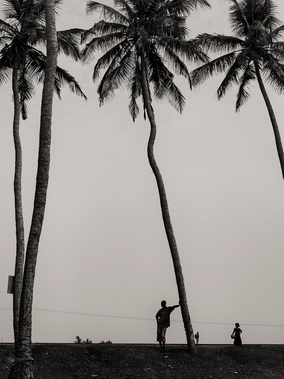 JJK Landscape Photograph – Los in Palm Heights! Fotografie, limitierte Auflage, Afrika, Landschaft, b/w