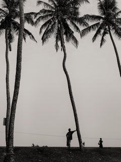 ¡Perdido en Palm Heights! Fotografía, Edición limitada, África, Paisaje, b/n