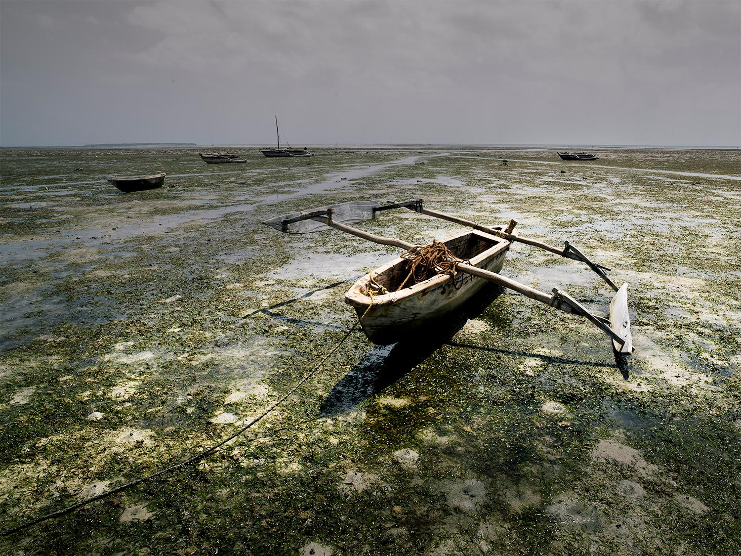 JJK Color Photograph - Low Tide, Photography, Limited Edition, Africa, Landscape, Zanzibar
