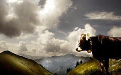 Mountain Dreams, Photography, Limited Edition, Animal, Mountain, Portrait