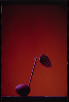 Purple Note by JJK, Photographie, Edition limitée, Musique, Polaroïd