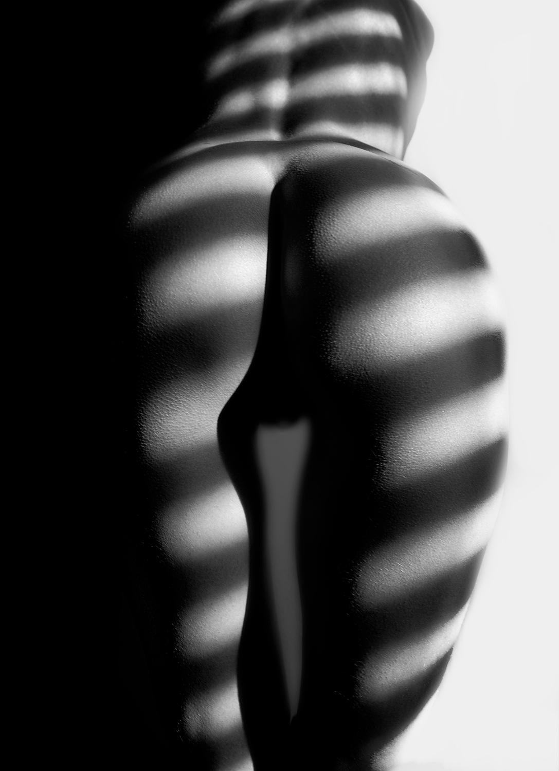 Real Coco de Mer
Edition of 25
signed and numbered by the artist

JJK shows his perfect play with light and shadow in this intimate photograph.
The shape of the body reminds us of the Coco de Mer Nut from the Seychelles.

JJK is a pseudonym for one
